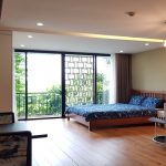 Lovely studio apartment with balcony in Au Co street, Tay Ho district for rent