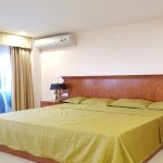 Nice brand – new studio apartment in Nghi Tam street, Tay Ho district for rent