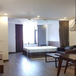 Nice view 1 – bedroom apartment in To Ngoc Van street, Tay Ho district for rent
