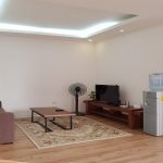 Bright 1 – bedroom apartment in Van Cao street, Ba Dinh district for rent