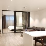 Cheap modern 1 – bedroom apartment in Trinh Cong Son street, Tay Ho district for rent
