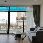 Lake – view one bedroom apartment with balcony in Nhat Chieu street, Tay Ho district for rent