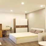 Nice studio apartment in Doi Can street, Ba Dinh district for rent